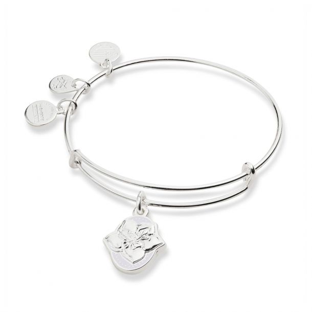Alex And Ani Strength Bangle 2024 www.houwelings