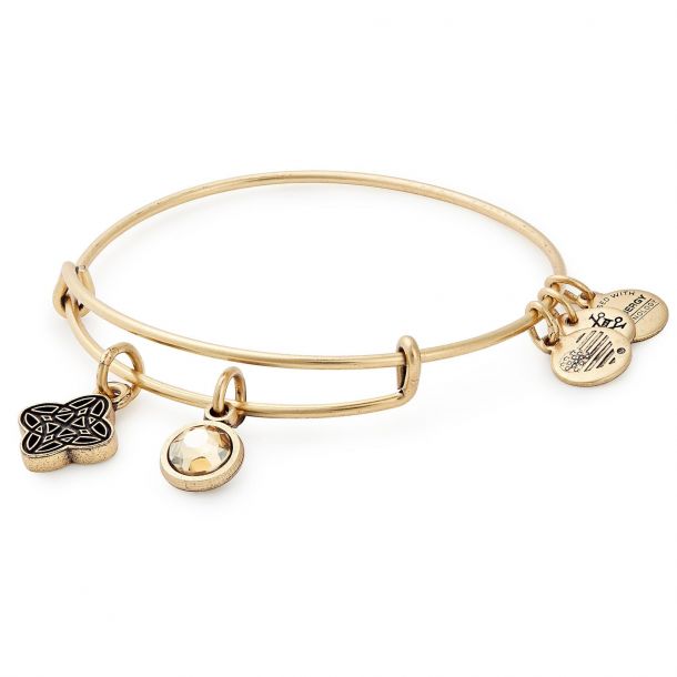 Alex and ani wisdom outlet bracelet