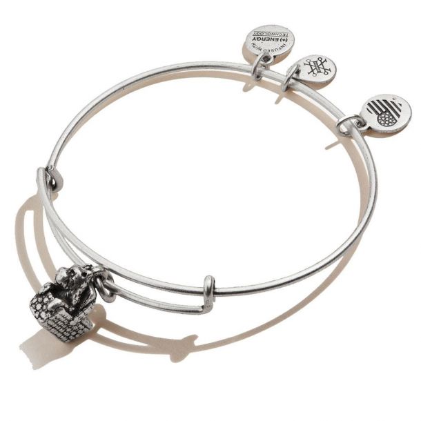 Alex and Ani Wizard of Oz Toto Charm Bangle Bracelet Rafaelian Silver Finish