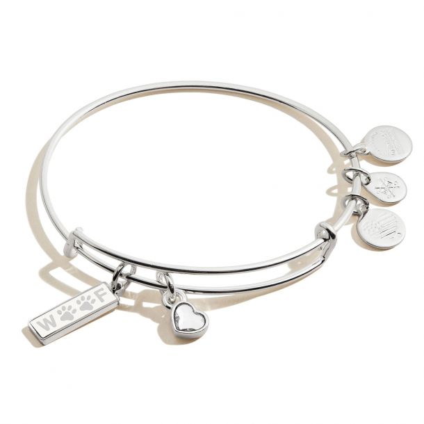 Alex and Ani Woof Duo Charm Bangle Bracelet Shiny Silver Finish REEDS Jewelers