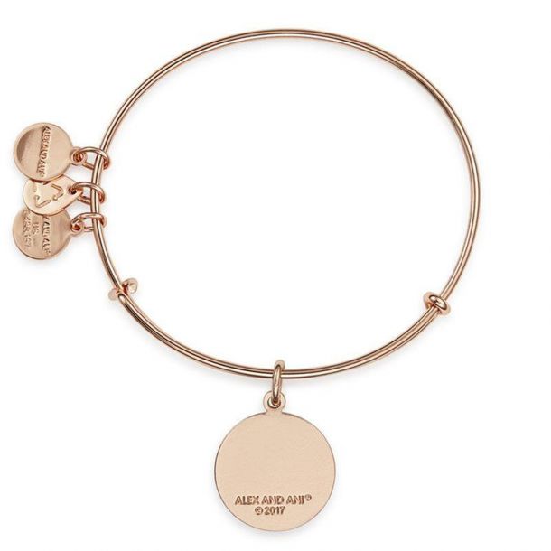You are enough bracelet alex and ani hotsell