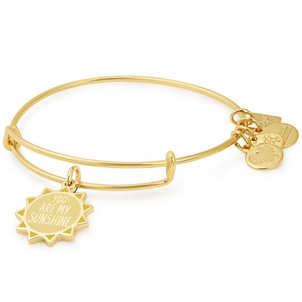 Alex and Ani You Are My Sunshine Charm Bangle Bracelet Shiny Gold Finish REEDS Jewelers
