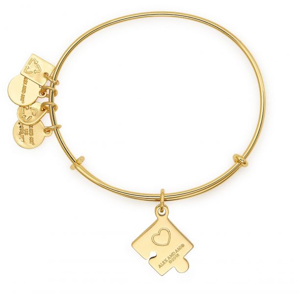 Alex and discount ani autism bracelet