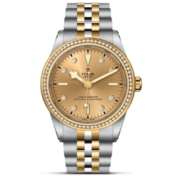 Tudor steel and gold top