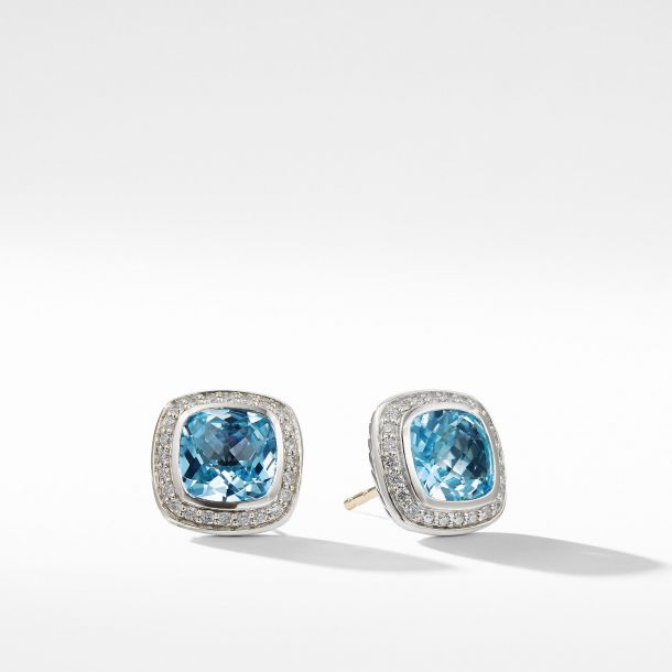 Albion earrings 2025