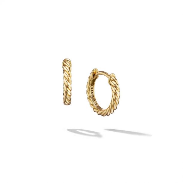 David yurman hoop hotsell