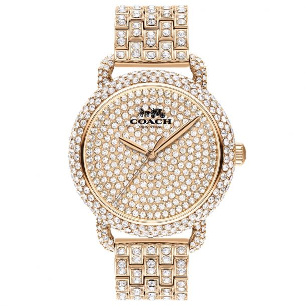 Coach delancey sales crystal watch