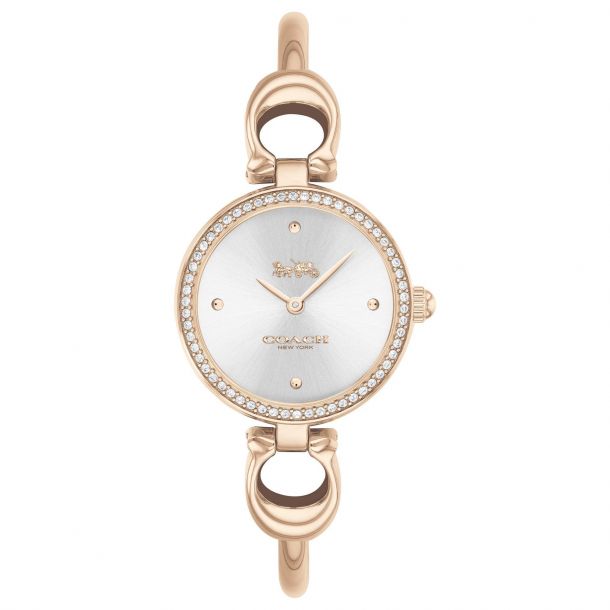 Coach bangle new arrivals watch