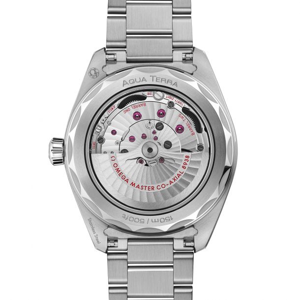 Omega seamaster aqua terra gmt worldtimer online
