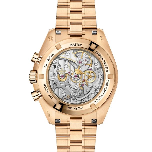 Speedmaster Moonwatch Professional 42 mm, steel - Moonshine