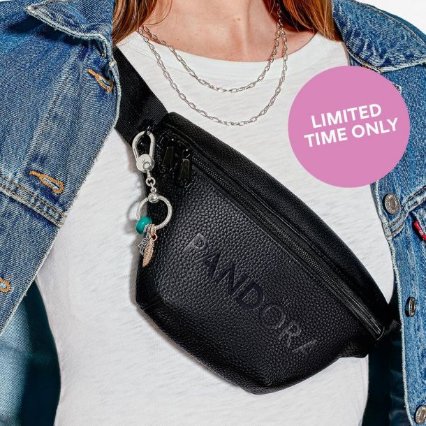 Bag pandora store