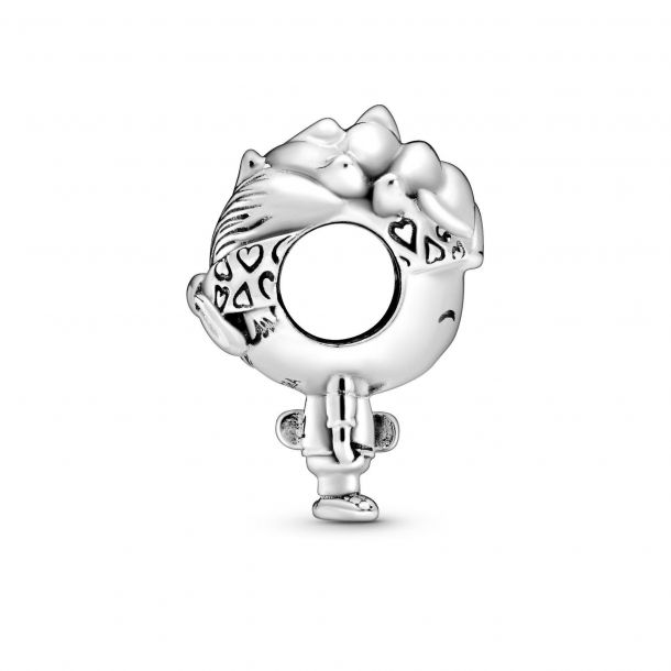 Pandora charms for teenager shop