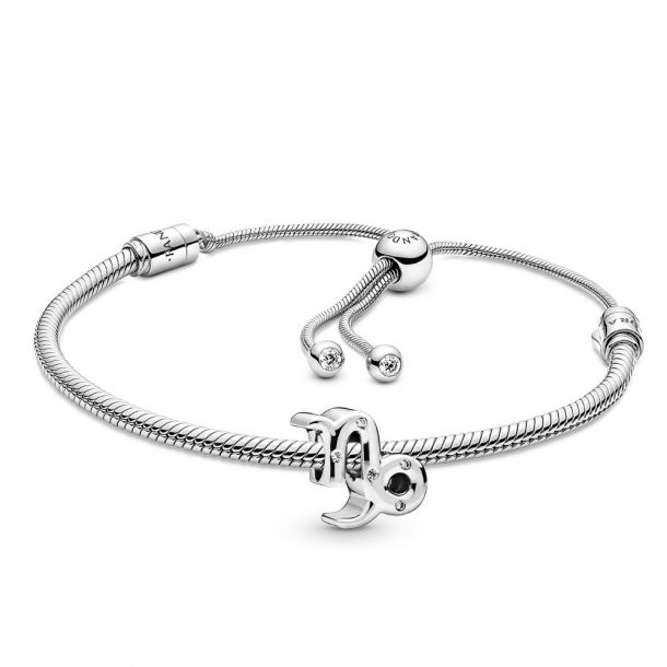 Capricorn Zodiac Sign Charm Bracelet, Pandora Inspired Beads