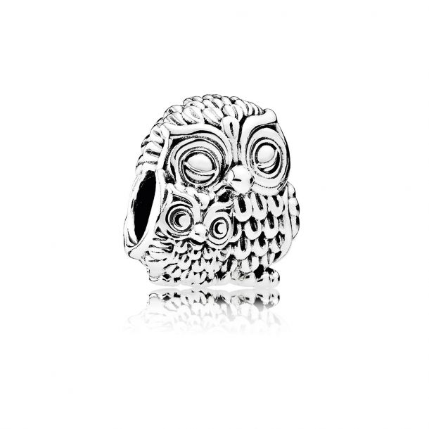Pandora sparkling owl charm deals