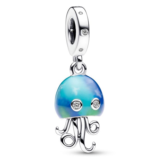 Reed jewelers pandora charms discount