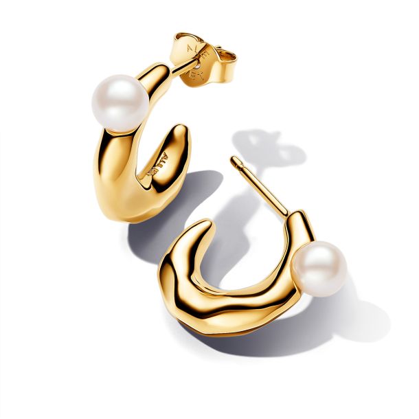 Pandora essence earrings top