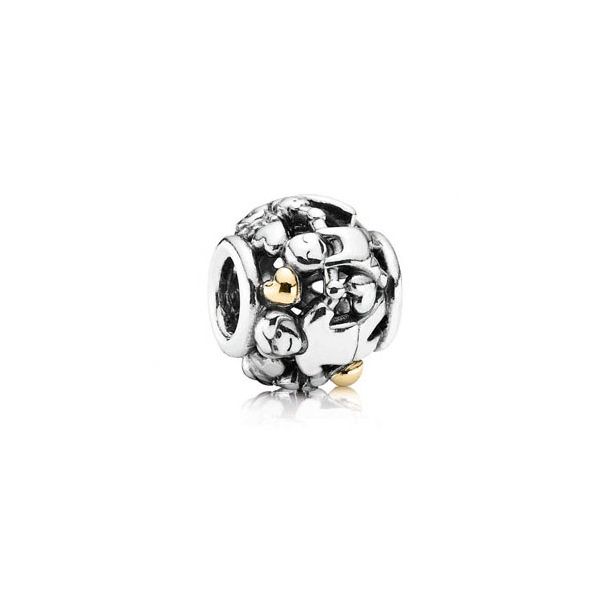 Pandora bicolor charm shop