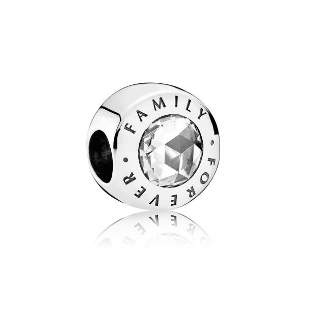 Pandora Family Forever Charm with Clear Cubic Zirconia REEDS Jewelers