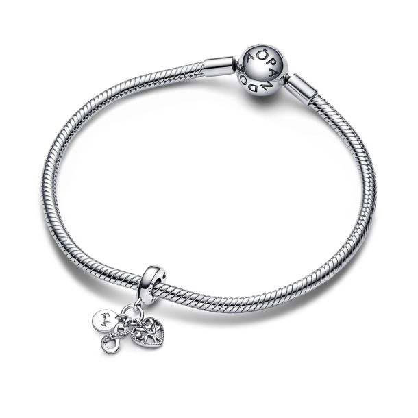 Pandora 70 charm discount