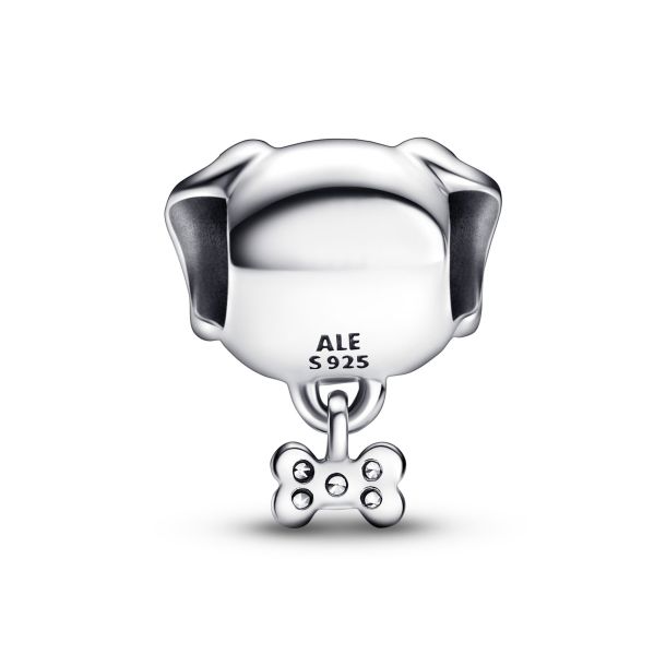 Pandora dog tag charm top