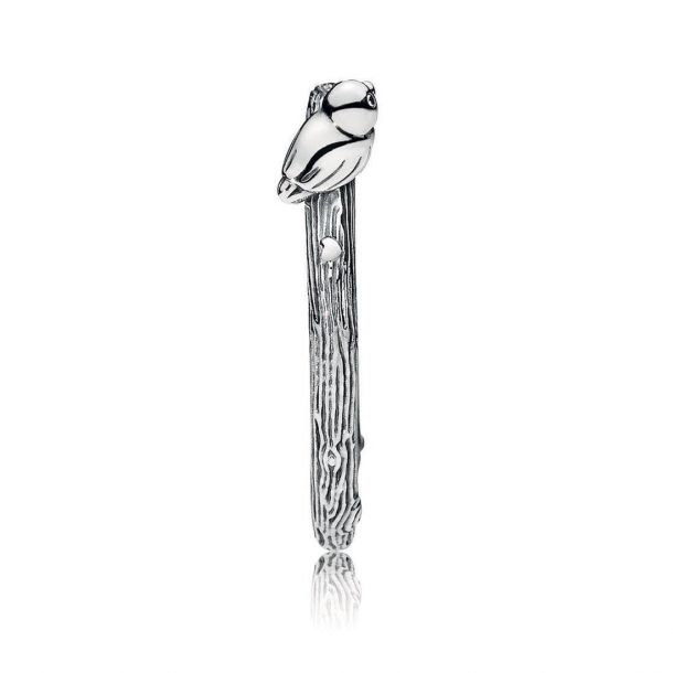 Bird ring pandora deals