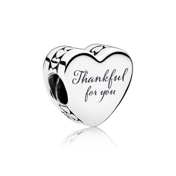 Pandora turkey store charm