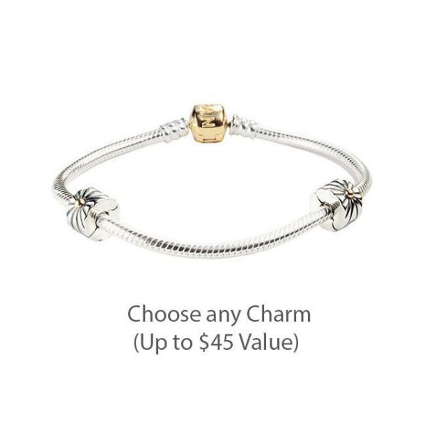 Pandora iconic gift set top