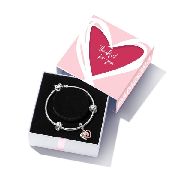 上質で快適 Gift Bracelet Heart Infinity Two-Tone Pandora Set REEDS | スキー