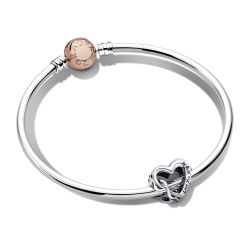 Pandora My Whole Heart Bangle Gift Set