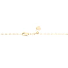 10k Yellow Gold 1.5mm Elongated Cable Adjustable Chain Necklace