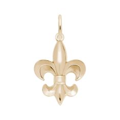 10k Yellow Gold Fleur De Lis 2D Charm