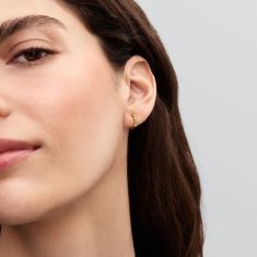 Pandora Timeless Yellow Gold-Plated Huggie Earrings