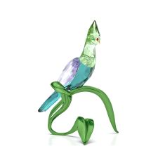 Swarovski Crystal Idyllia Green Turaco