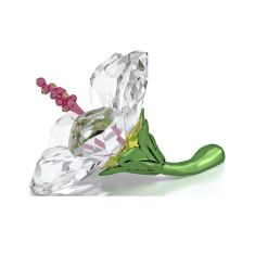Swarovski Crystal Florere Hibiscus