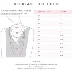 Pandora Embracing Halo Necklace