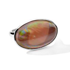 IPPOLITA Polished Rock Candy Sculptured Large Oval Ring in Brown Shell - Size 7