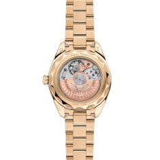 OMEGA Seamaster Aqua Terra Moonshine™ Gold Dial Moonshine™ Gold Watch 30mm - 22050302008001