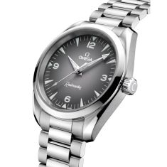 OMEGA Seamaster Railmaster Grey Dial Stainless Steel Watch 38mmmm - O23510382006001