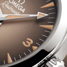 OMEGA Seamaster Railmaster Brown Dial Brown Leather Strap Watch 38mm - O23512382013001