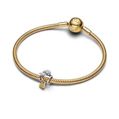 Pandora Home & Heart Two-Tone Charm