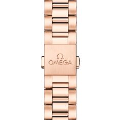 OMEGA Seamaster Aqua Terra Burgundy Diamond Dial Sednaâ„¢ Gold Watch 30mm - 22055302061001