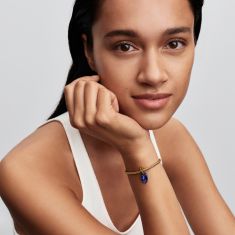Pandora Mariner Link Gold-Plated Dangle Charm