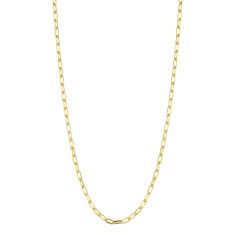Penny Preville 2mm 18k Yellow Gold Link Chain - 18 Inches 1