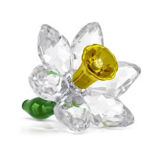 Swarovski Crystal Crystal Flowers Orchid | REEDS Jewelers