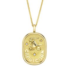 Shy Creation Diamond Accent 14k Yellow Gold Zodiac Capricorn Sea Goat Star Pendant Necklace 1