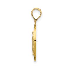 14k Yellow Gold Miraculous Medal Pendant
