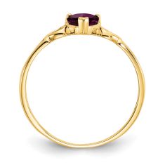 Heart Rhodolite Garnet 14k Yellow Gold Ring