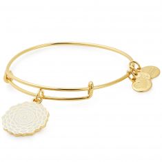 Chakra alex and ani sale