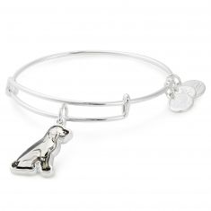 Alex and ani unconditional carpecylt love