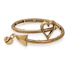 Alex and ani cupid's heart on sale